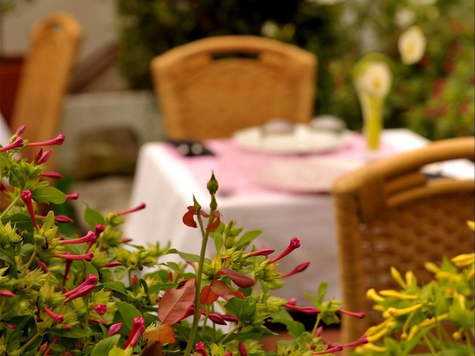 Hotel Logis Restaurant Les 3 Rois 3*